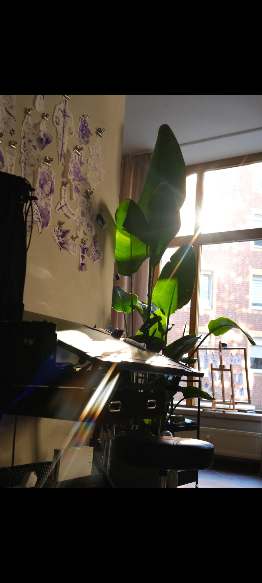Licht und Pflanzen im Studio von ÆTERNA Tattoo Art